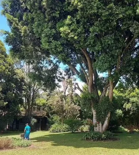 Finca En Venta En Rionegro. Cod V12222