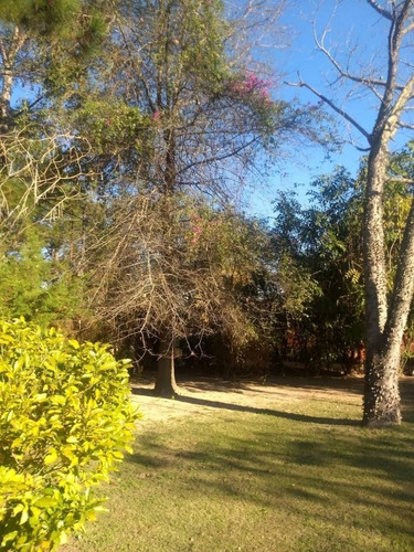 Imagen 2 de 14 de Calle Orquídeas S/n- Dos Lotes Forestados- Venta- Barrio Las Paltas Colástine.-