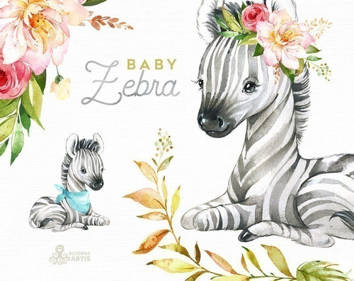 Cliparts Png Zebras Cebras Bebes Acuarela Watercolor O1