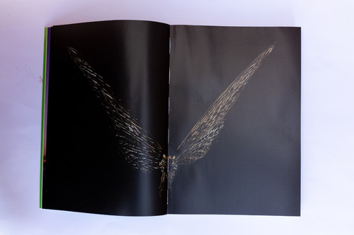 Imagen 5 de 8 de Libro Andres Paredes