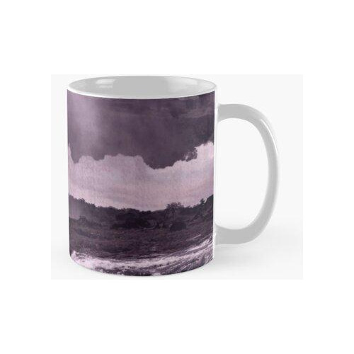 Taza Salto Base En Cascada Calidad Premium