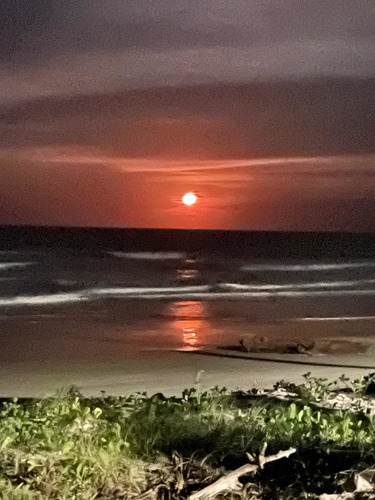 Imagem 12 de 18 de Pousada Aconchegante Em Frente À Praia