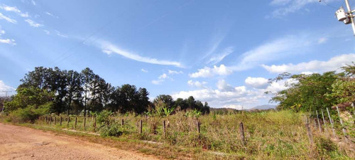 Imagen 5 de 6 de Finca En Venta Sabana Del Medio