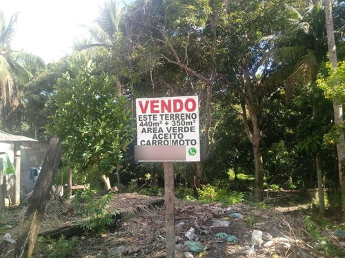 Oportunidade Investimento Lote Em Cumuruxatiba Prado  Bahia 
