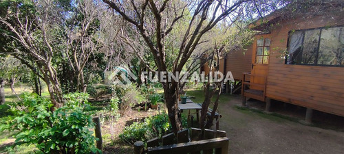 Parcela De 5.252 Mt2 Con Cabaña Urbanizada De 61mt2