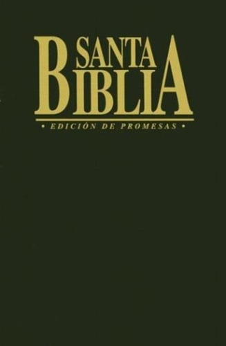 La Biblia De Promesas Edición Rústica Negra - Peniel Chile