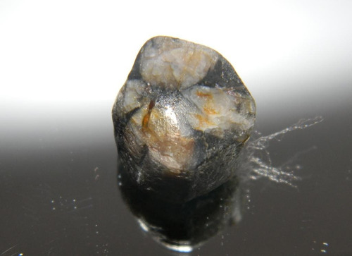 Andalucita (quiastolita - Piedra Cruz) De 3.51 G