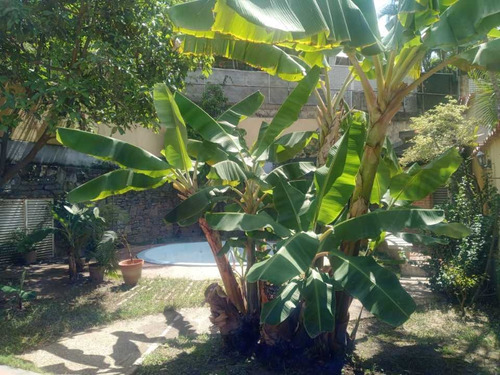 Imagen 3 de 19 de Vendo Casa 790m2 7h/7b/0p Colinas Sta. Monica 6046