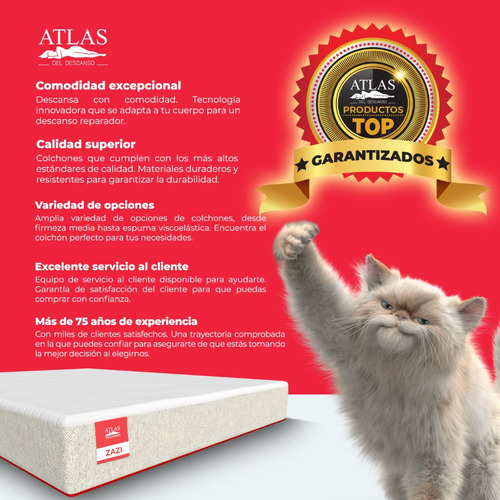 Colchón Restonic Visco Rest Para Cama Queen Size