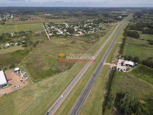 Terreno Logístico Sobre Ruta 5 Con 200 M De Frente, Dueño Financia!