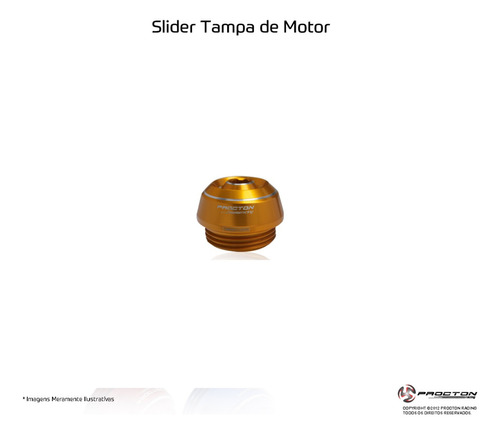 Slider Tampa Do Motor Procton Bmw S1000r Para Ate 2019