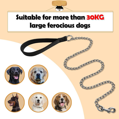 Los Andes Juego De Correa Y Collar De Metal Para Perros, Cor