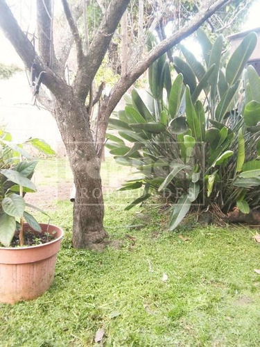 Imagen 10 de 12 de Ph 3 Ambientes En Venta Victoria