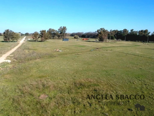 Excelente Campito, En Exaltación De La Cruz.