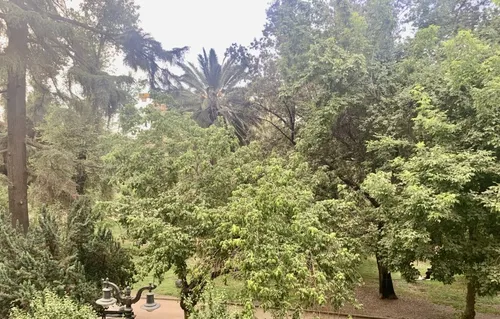 Parque Forestal