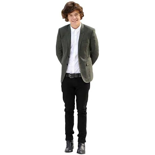 Figura Coroplast Tamaño Real 180cm Harry Styles 1d