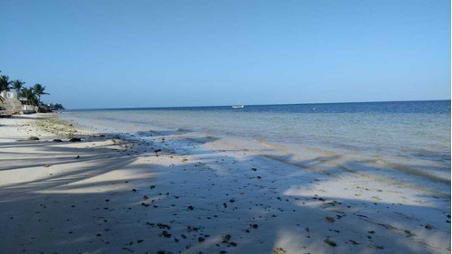 Imagen 5 de 12 de Via Mare