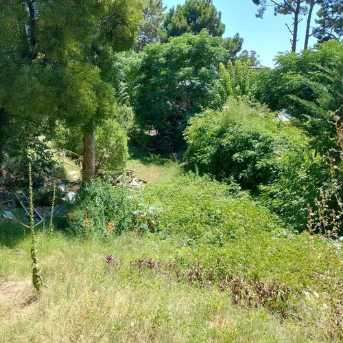 Lote Ostende, Calle Dante. A 2 Cuadras Av Victor Hugo
