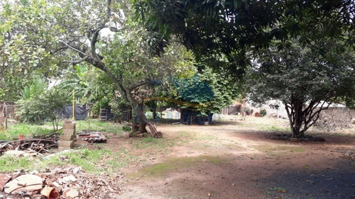 Área, Pq Industrial Tanquinho, Ribeirão Preto - T389-a