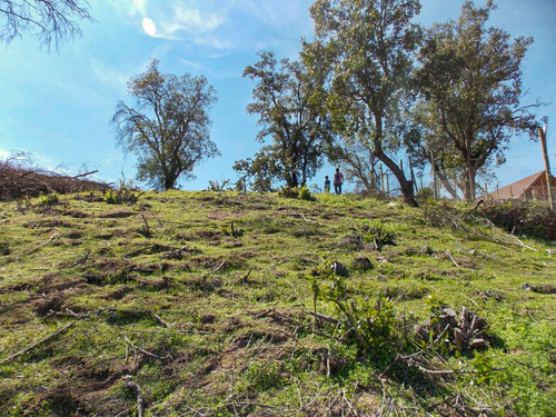 Se Vende Terreno Sector Lo Naranjos, Curacavi.