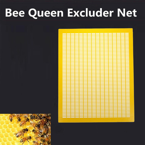 Prático Quadro Exclusão De Abelha Rainha Amarelo