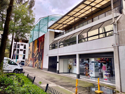 Imagen 1 de 14 de Edificio Con 6 Bodegas 2 Locales Comerciales Oficinas Y Casa
