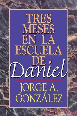 Libro Tres Meses En La Escuela De Daniel - Jorge A. Gonza...