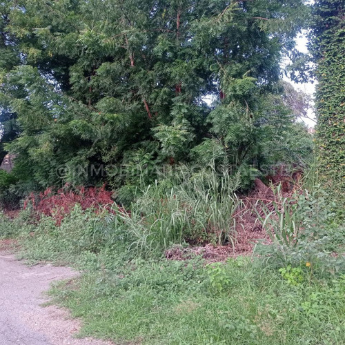 Venta De Terreno En Caraballeda Ref 2029