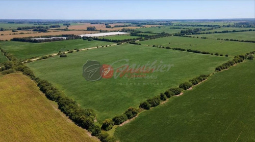 Venta Terreno / Lote Zárate