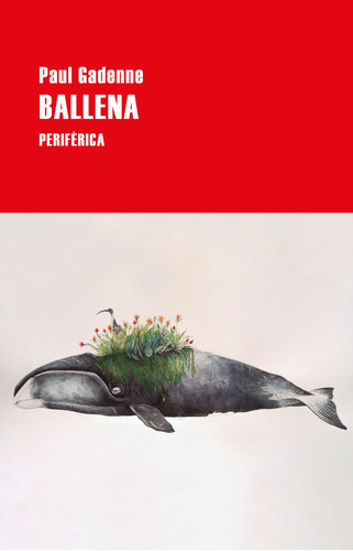 Libro Ballena