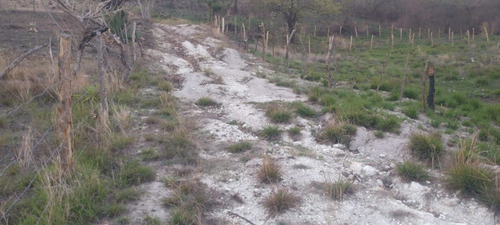 Imagen 10 de 18 de 6 Manzanas En El Zapote San Pedro Pinula Jalapa