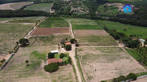 Imagem 9 de 30 de Granja Com 13 Hectares E Plantação Rentabilizando - Ch0065
