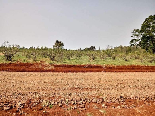 Imagen 3 de 7 de Loteo Don Carlos - Guaraní - Oberá Misiones
