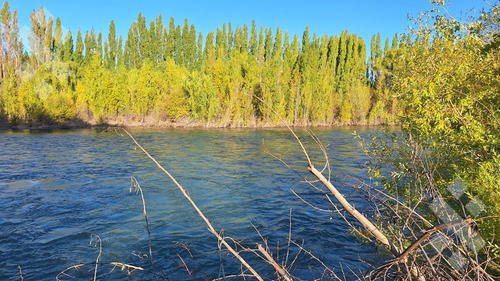 En Venta Chacra De 65 Has, Isla Adelina, Centenario Neuquén.