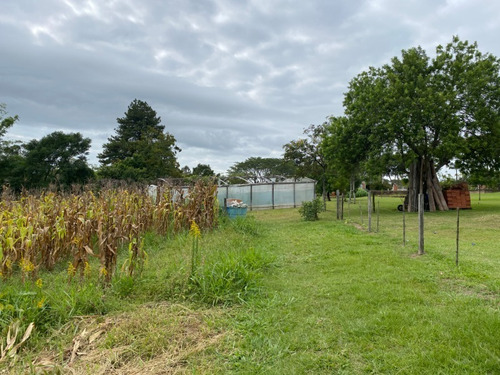 Chácara 2.500 M² - Morungava - Gravataí - Rs - 2499 - 69232388