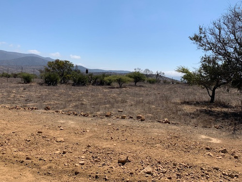 Imagen 15 de 16 de Sitio Condominio Foresta De Zapallar/ruta 5 Norte