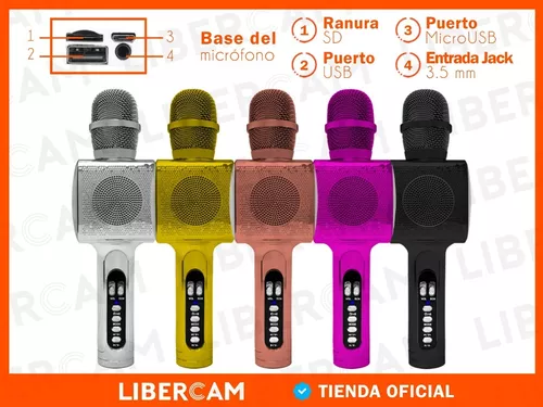 Micrófono inalámbrico con Bluetooth para Karaoke, Base 3 con