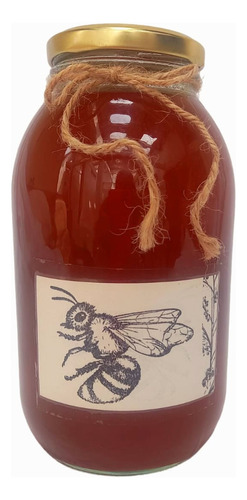 Miel Pura De Abeja Apis. 1 Kilo - Kg a $55900