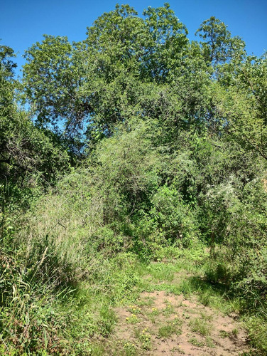 En Venta Espectacular Lote Arbolado De 4000 M2 | Villa De Las Rosas | Escritura Y Servicios