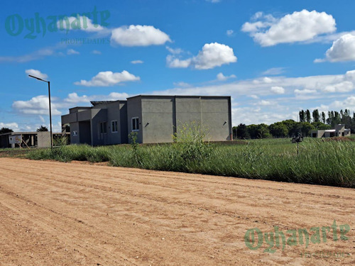 Imagen 15 de 18 de Oferta - Venta Lote En Tres Pinos - Gral. Rodriguez.