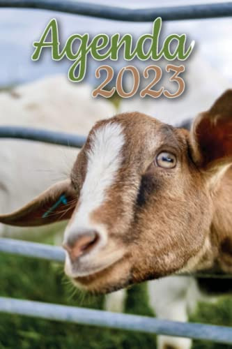 Agenda 2023: Agenda Semanal Cabra De Un Año Enero 2023 A Dic