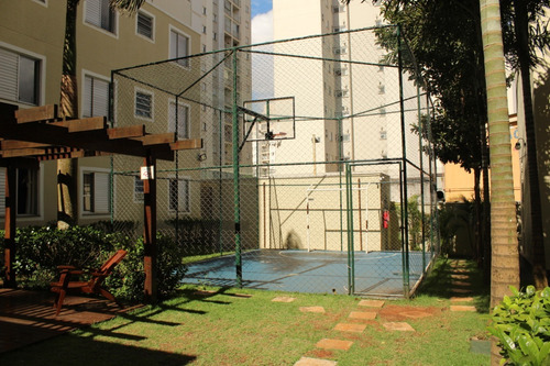 Imagem 12 de 15 de Lindo Apto!... Dom Jaime Rua Da Uninove - 1033-4901
