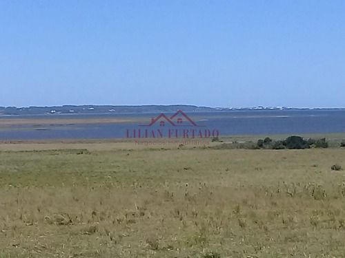 26 Has En Zona Laguna Jose Ignacio - Ref: 654