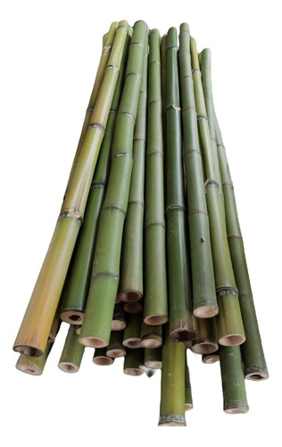 6 Varas De Bambú Naturales Olha 130 Cm Largo / 3 Cm Grosor