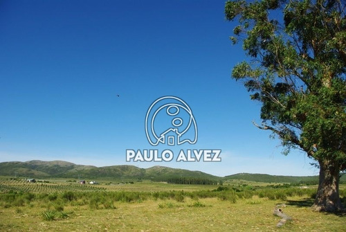 Imagen 26 de 30 de Chacras-venta-cerros-azules-ch072