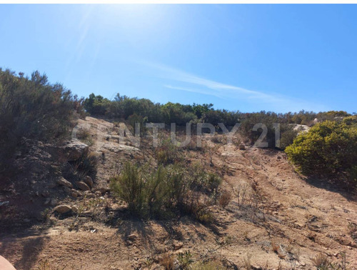 Terreno En Tecate Subdividido En 3 Lotes. Magnifica Ubicación.