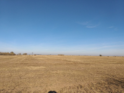 Imagen 6 de 13 de Vendo 90 Hectareas Ganaderas En Ucles, Cba