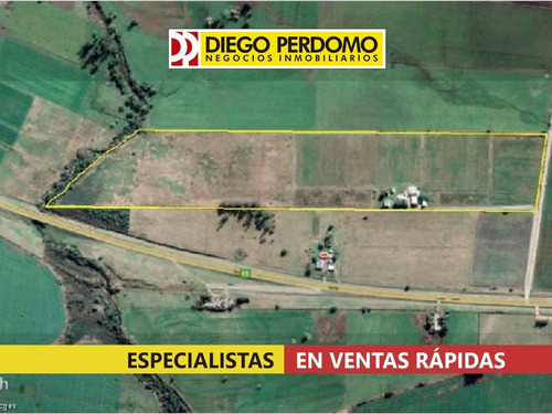 Chacra De 12,3 Has En Venta, San José