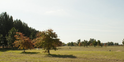Terreno Lote En Venta En Club De Campos Las Hojas, Marcos Paz, G.b.a. Zona Oeste