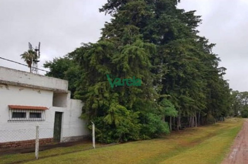 Imagen 5 de 12 de Chacra En Venta A 44 Km De Nueva Palmira, Paraje Colonia Concordia, Soriano, Superficie 5 Has. - Mercedes Mercedes